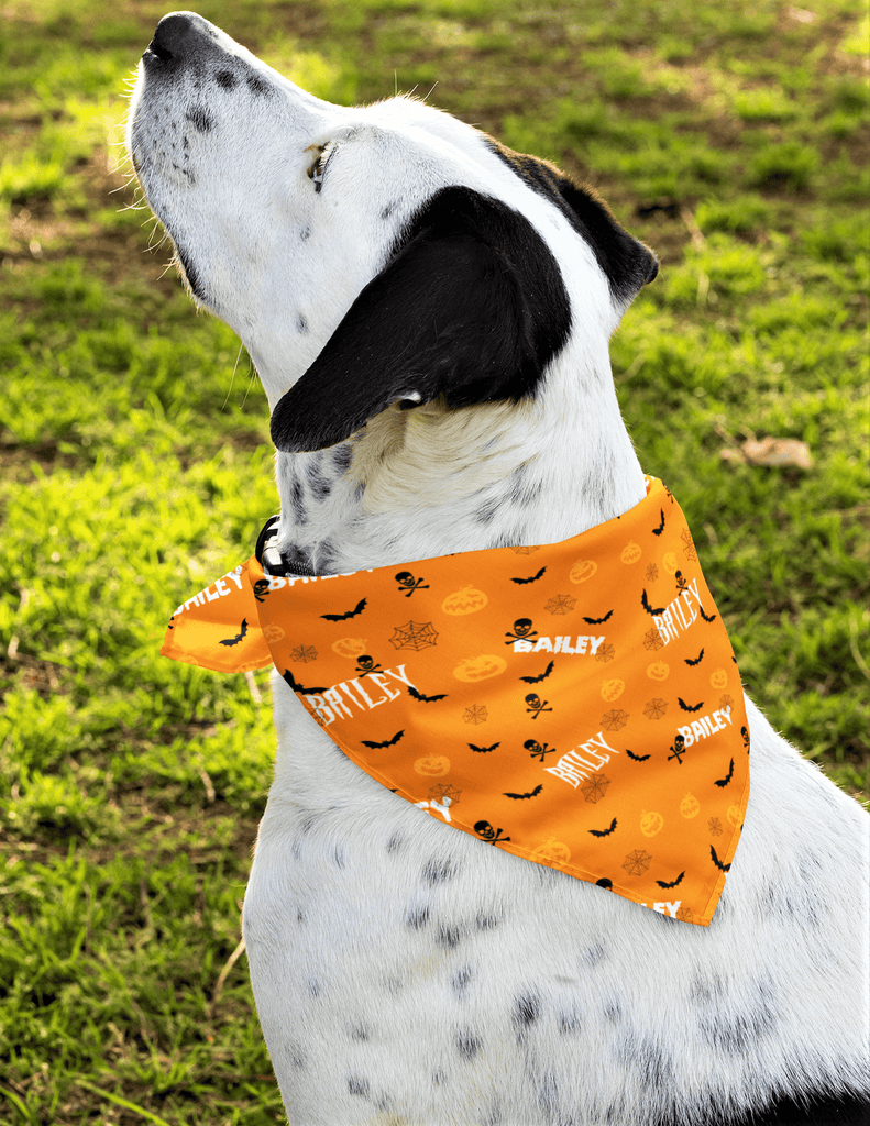Personalized Halloween Dog Bandana With Your Dog's Name Zen and Zestful