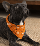 Personalized Halloween Dog Bandana With Your Dog's Name Zen and Zestful